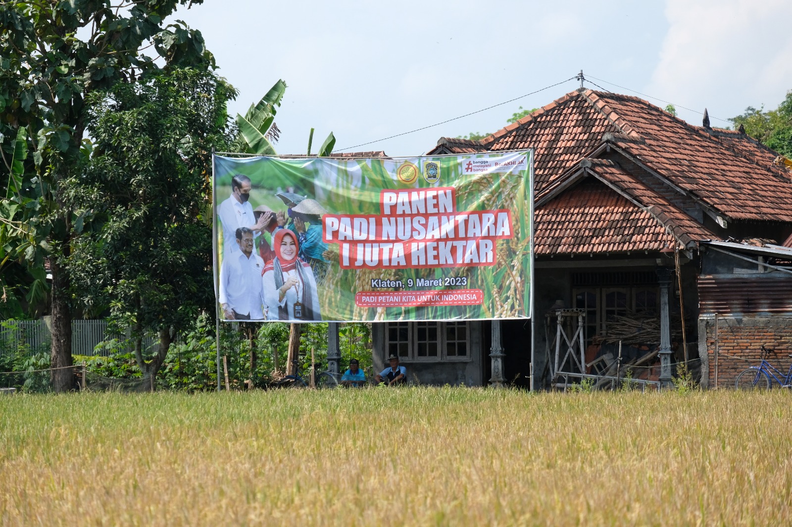 Panen Padi Nusantara Kukuhkan Klaten Jadi Daerah Penyanggah Pangan. 9 IMG 20230309 WA0088