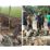 Ada proyek siluman : Warga dan Pemilik Sawah Kecewa dengan Tidak Adanya Jembatan Darurat