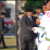 Penuh Haru, Paskibraka Kabupaten Klaten 2023 Resmi Dikukuhkan.