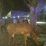 Polres Pekalongan Beserta Jajaran Laksanakan Patroli Harkamtibmas Saat Malam Takbiran Idul Adha 1445 H/2024 Masehi