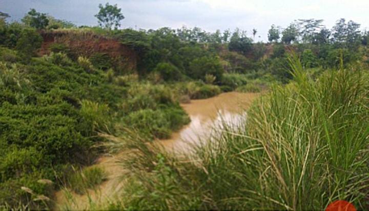 Samidi, Aktivis Pemerhati Lingkungan Kab. Kuningan Tanggapi Lokasi Eks Tambang Galian C Tanpa Reklamasi 9 IMG 20241013 WA0046