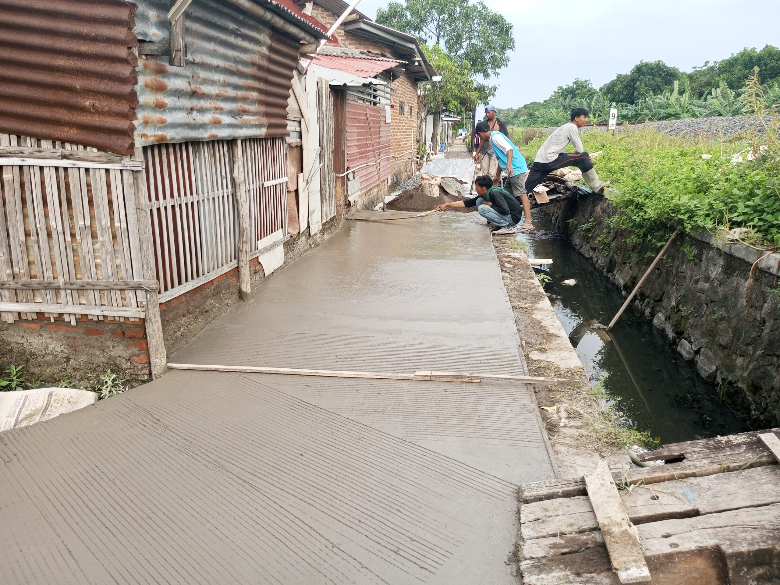 IMG 20241216 163652 110 scaled