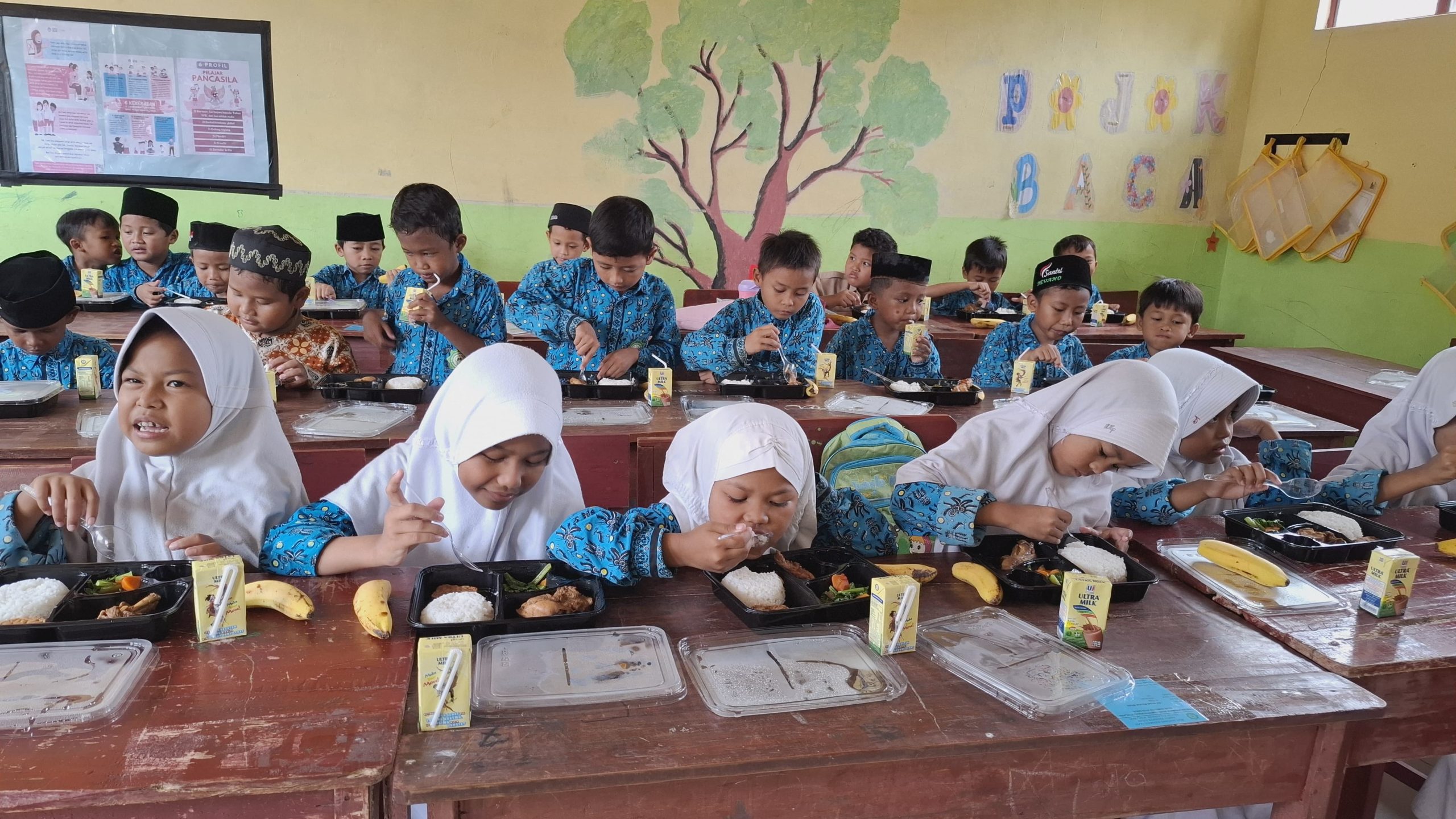 IMG 20250221 WA0047 scaled