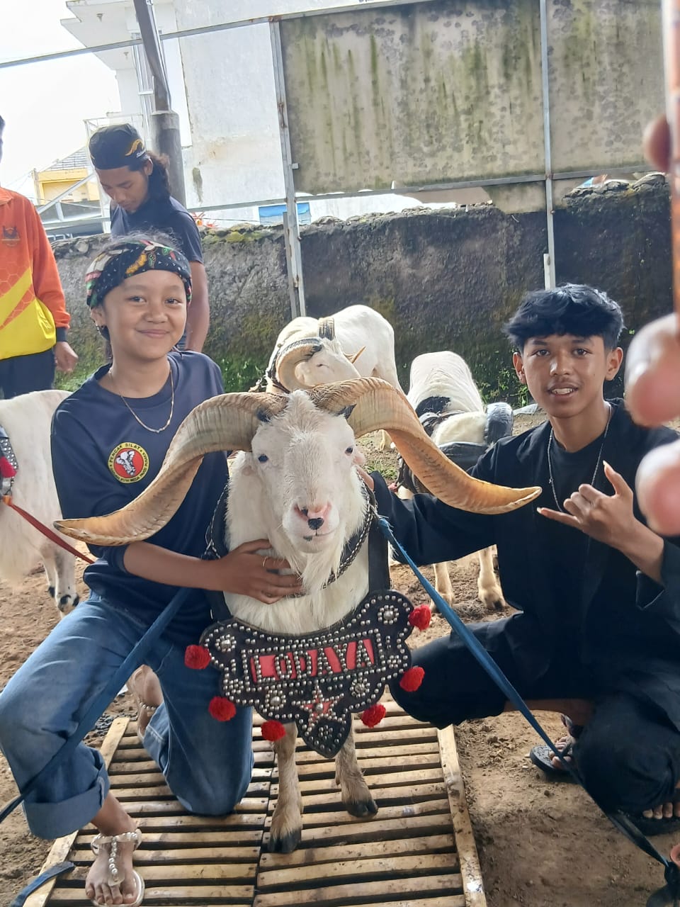 IMG 20250511 WA0109 1