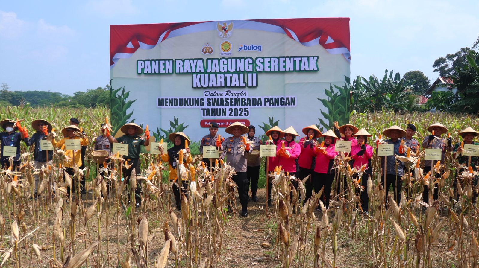Panen Raya Jagung Serentak, Wujud Polres Pekalongan Dukung Swasembada Pangan 9 IMG 20250605 WA0344