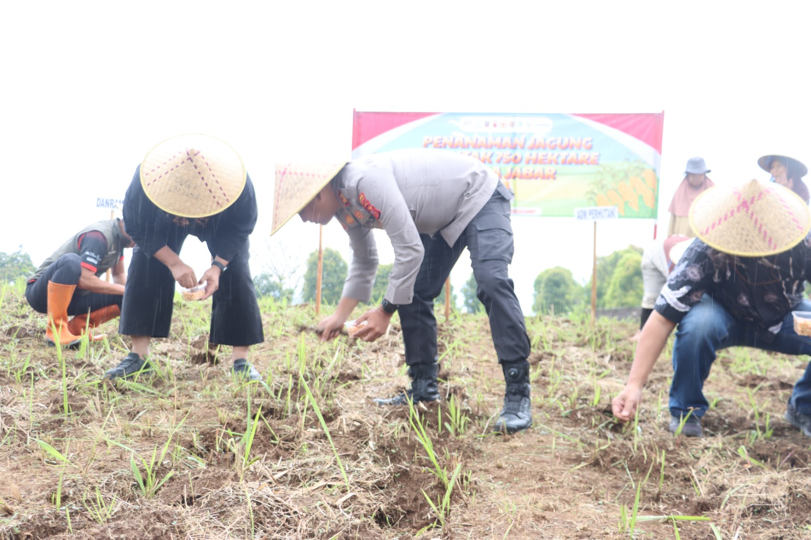 Polres Kuningan Tanam Jagung Serentak di 27 Lokasi Capai 22 Ha 9 IMG 20260129 WA0062