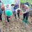 Tak Hanya Atur Lalu Lintas, Polantas Polres Kuningan Turun ke Sawah Tanam Jagung 2 Hektare.