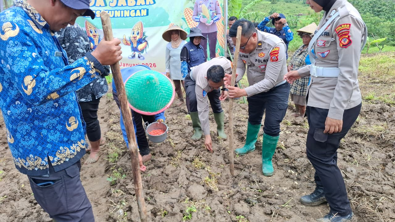 Bukti Nyata Polri Mendukung Ketahanan Pangan, Tak Hanya Atur Lalu Lintas, Satlantas Polres Kuningan Turun ke Sawah Tanam Jagung 2 Hektare 6 IMG 20260130 WA00201