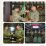 Pangdivif 2 Kostrad Pimpin Acara Penyerahan Jabatan Danbrigif 6/TSBI