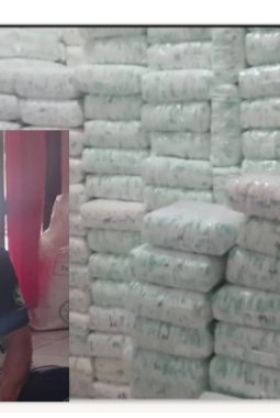 berita-rekomendasi-foto