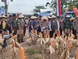 Presiden Prabowo Subianto Pimpin Panen Raya Jagung Serentak Dan Resmikan Fasilitas Ketahanan Pangan Polri Di Indramayu* 11 IMG 20260516 WA0040