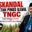Dewan Pembina Aswin : Skandal Getah Pinus Ilegal TNGC , Dugaan Kejahatan Terstruktur dan Ujian Serius Penegakan Hukum Lingkungan