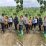 Satlantas Polres Kuningan Monitoring Lahan Jagung di Desa Cibulan 