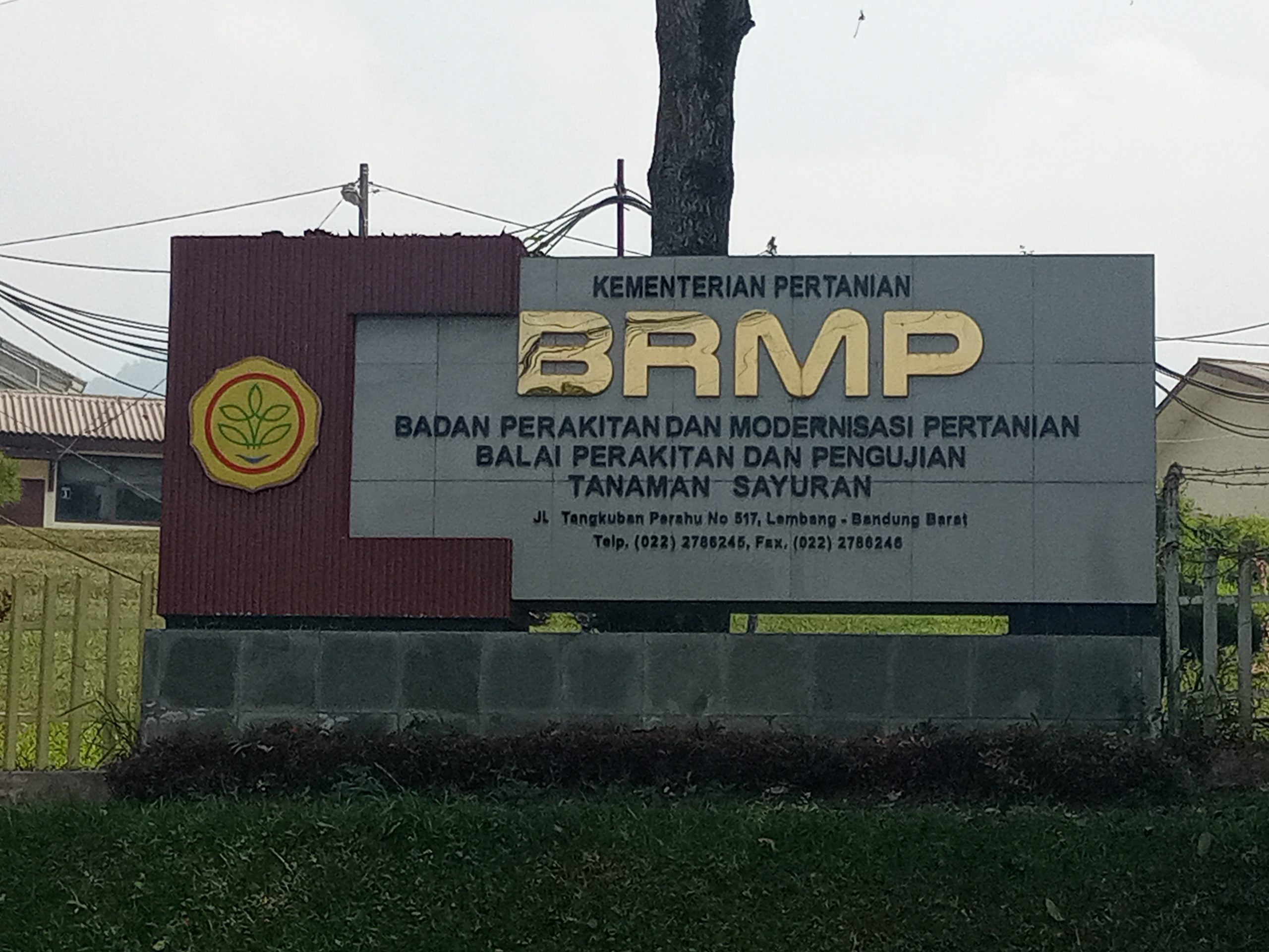 Setelah PS digelar, Gugatan LBH RATU ADIL TERHADAP KEMENTRIAN PERTANIAN KEMBALI JADI SOROTAN PUBLIK 25 IMG 20260807 104736 256 scaled
