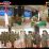 Korem 043/Gatam Teguhkan Semangat Pengabdian Dari amanah jabatan hingga purna tugas 