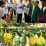 Giriroto Bikin Gebrakan, Dari Lahan Tak Produktif Jadi Green House Melon