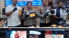 Oplus_16908288